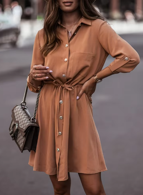 Kate Long Sleeve Polo Dress