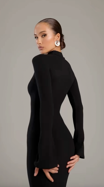 Helen｜Turtleneck Maxi Dress